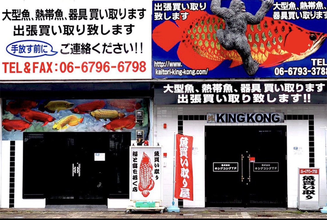 KING KONG 店舗外観
