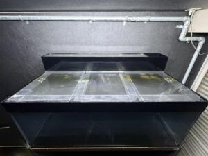 底背面黒アクリル水槽W1500×d750×h600、上部濾過ボックス、2段設置